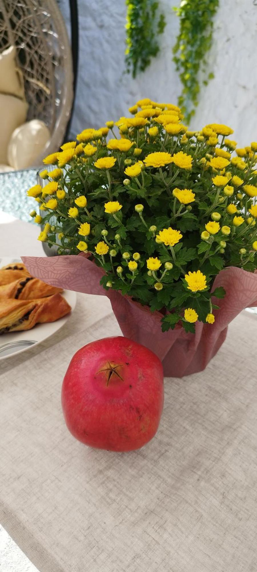 Ma Maison נאפפליו מראה חיצוני תמונה